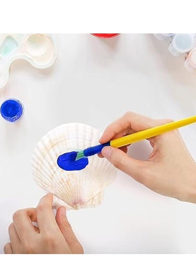 Sea Shells,6 pcs Crafts Decoration Crafting Scallop Shells, for Crafts DIY Painting Beaching Wedding Decoration, Beach Natural Scallop Shells Bulk