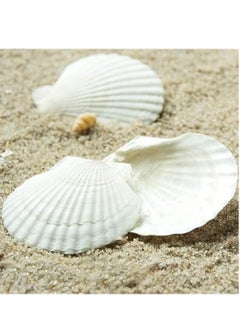 LYNLYN Sea Shells,6 pcs Crafts Decoration Crafting Scallop Shells, for Crafts DIY Painting Beaching Wedding Decoration, Beach Natural Scallop Shells Bulk  - Image 5