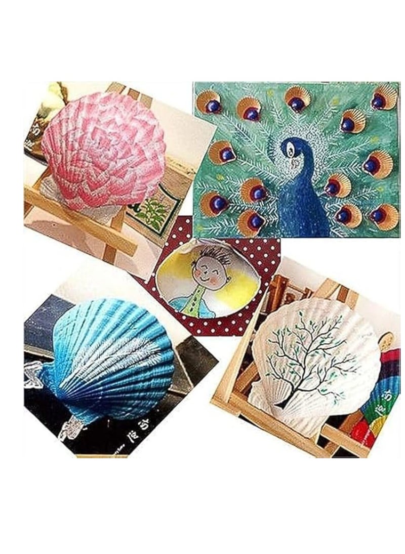Sea Shells,6 pcs Crafts Decoration Crafting Scallop Shells, for Crafts DIY Painting Beaching Wedding Decoration, Beach Natural Scallop Shells Bulk
