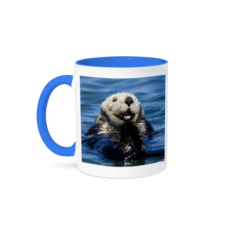 3dRose mug_88466_6 California Sea Otter Moss Landing California US05 JGS0198 Jim Goldstein Two Tone Mug 11 oz BlueWhite