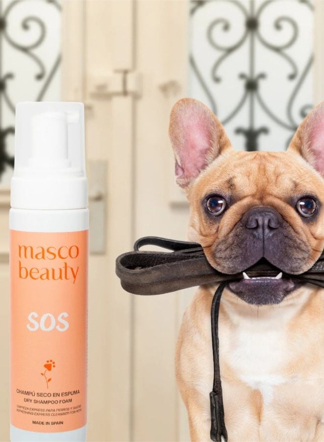 Masco Beauty SOS Dry Foam Dog Shampoo - Made in Spain - Image 2