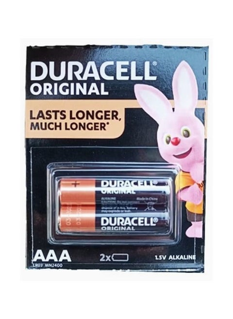 2-Piece AAA Alkaline Battery