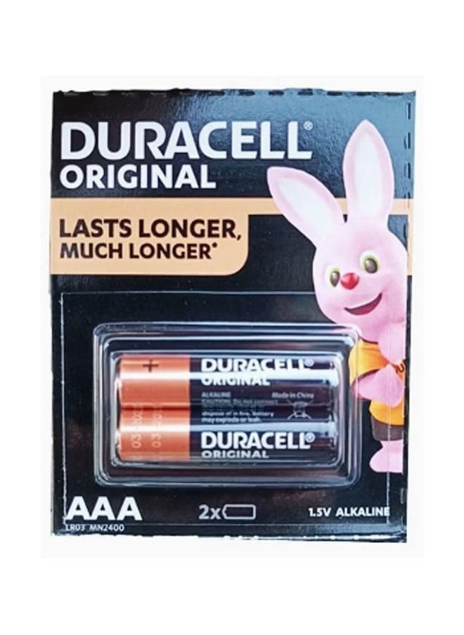 Duracell - 2-Piece AAA Alkaline Battery - Image 1