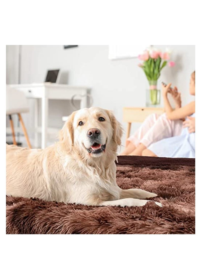 Mei Lifestyle Comfortable Ultra Soft Pet Blanket With Self Warming Soft Cushion with Fleece Hand feel - Image 4