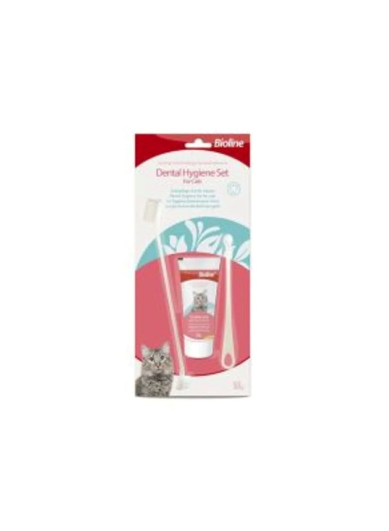 Cat Dental Hygiene Set – 50g Toothpaste & Grooming Tools