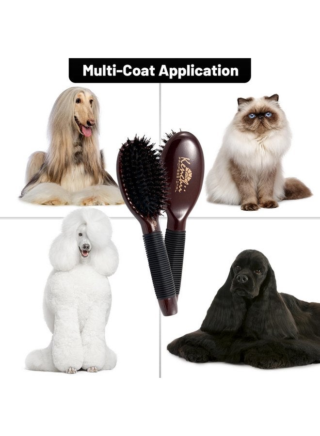 Kenchii Boar and Nylon Bristle Dog/Cat Grooming Brush with One-Piece Maple Body-Choose Size Large, Small (Small) - Image 4