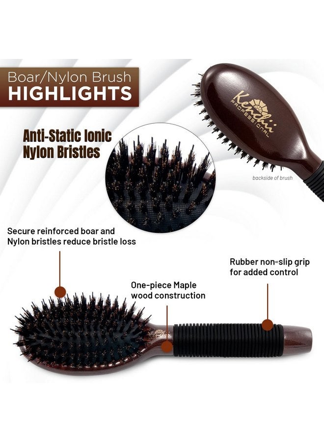 Kenchii Boar and Nylon Bristle Dog/Cat Grooming Brush with One-Piece Maple Body-Choose Size Large, Small (Small) - Image 1