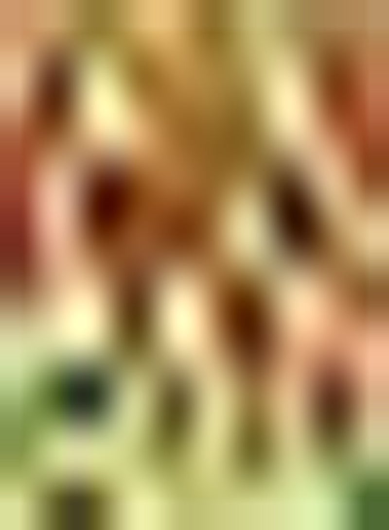 جي جوت 500 قطعة من بذور السيلوسيا الحمراء المستخدمة في تصميم أحواض الزهور وتكوين أحواض الزهور وزخارف عتبة النافذة وزراعة صغيرة الصعوبة والتشغيل البسيط - Image 1