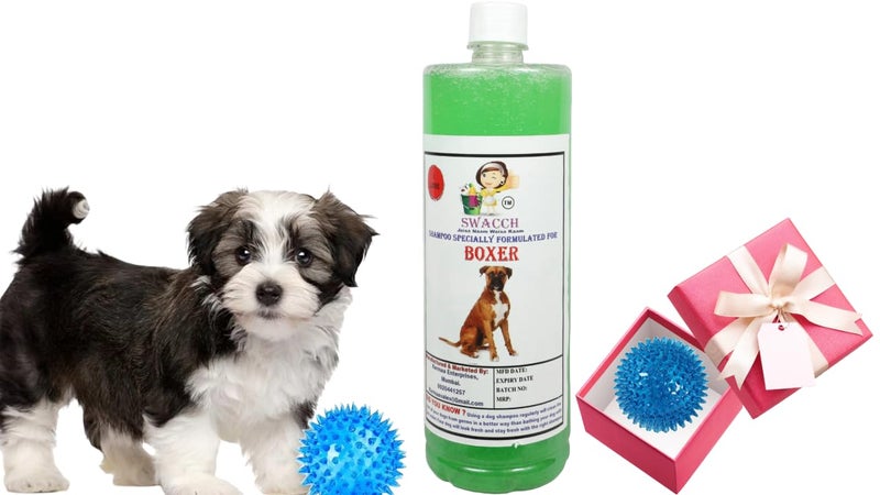 swacch Shampoo | Puppy Safe Shampoo | PH Balanced | Ditch to Itch for Boxer Dog Shampoo 1 Litre (Neem Alovera) + Spike Ball Chew Toy Combo Pack - Image 1