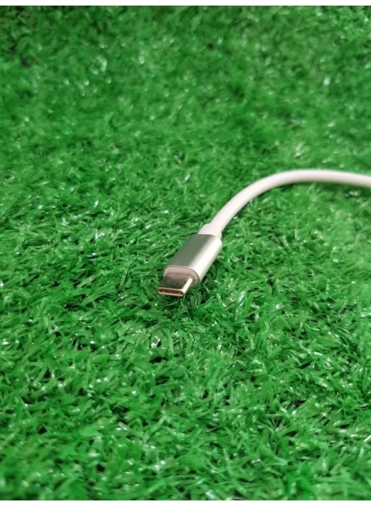 HDMI Cable Adapter Type-C HDMI - Image 2