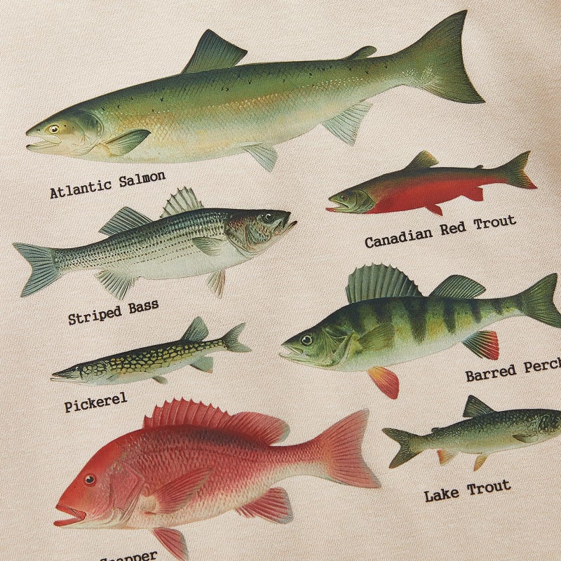 Fernvia Toddler Baby Boy Fall Clothes Animal Print Long Sleeve Pullover Tops + Drawstring Pants Winter Outfits (C-Green Fish, 12-18 Months) - Image 4