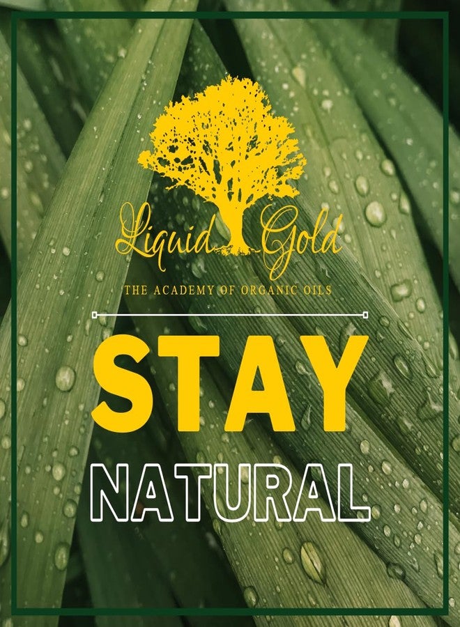 Liquid Gold Inc سائل الذهب إنك - 32 أونصة - زيت الخروع الأسود الجامايكي الفاخر - معصور على البارد نقي طبيعي عضوي - Image 3