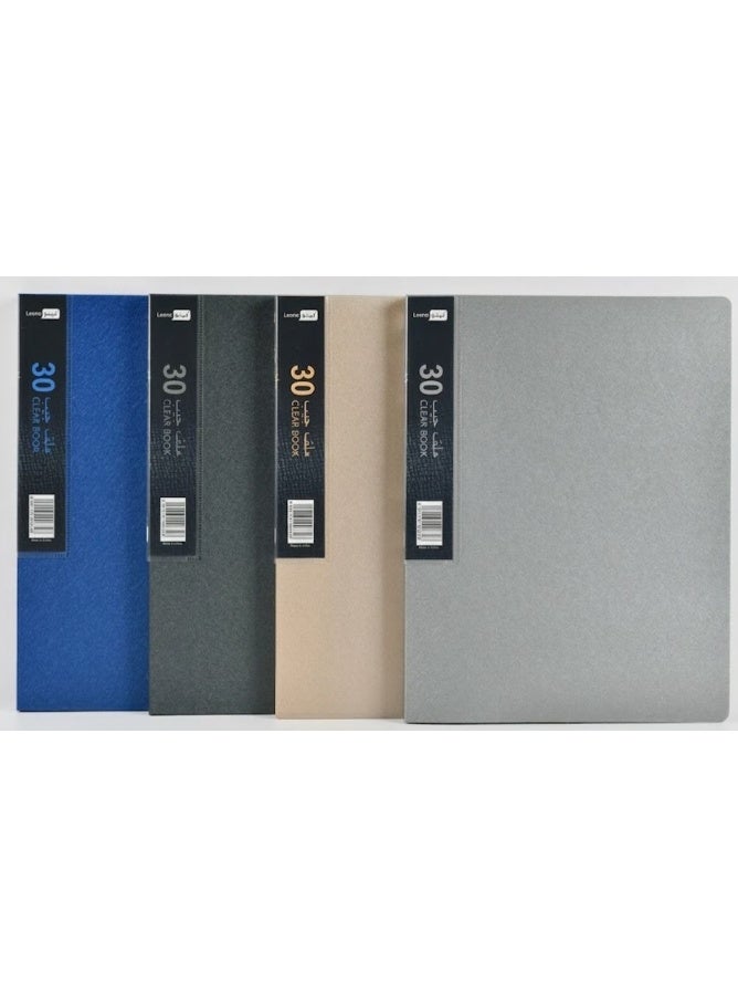 1 piece Pocket file 30s - assorted