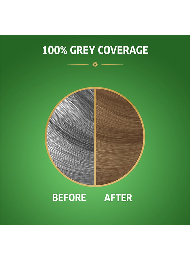 WELLA Koleston Naturals Hair Color 8/1 Golden Wheat 50ml+50ml+10ml - Image 3