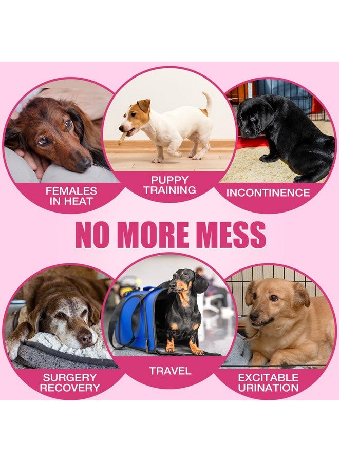 دونو حفاضات دونو للكلاب للاستخدام مرة واحدة، حفاضات فائقة الامتصاص للكلاب، حفاضات سريعة الجفاف للجراء بتقنية الجل، حفاضات مانعة للتسرب للقطط في مرحلة الشبق، والتبول المتكرر، وسلس البول، والتدريب - Image 5