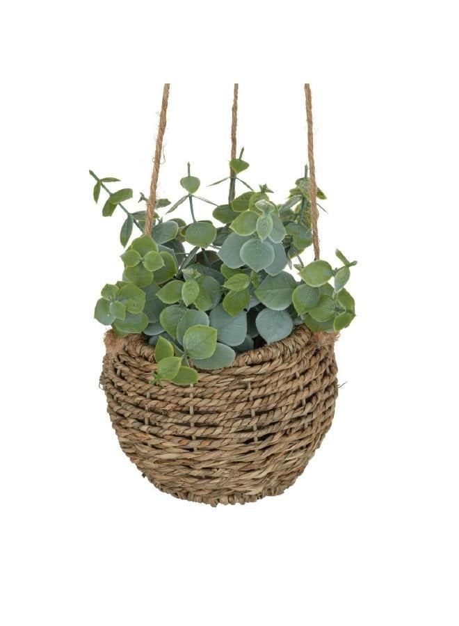 لوفت هانغ زوي، نبات معلق، L12XP12XH68CMS، أخضر-193789 - Image 1