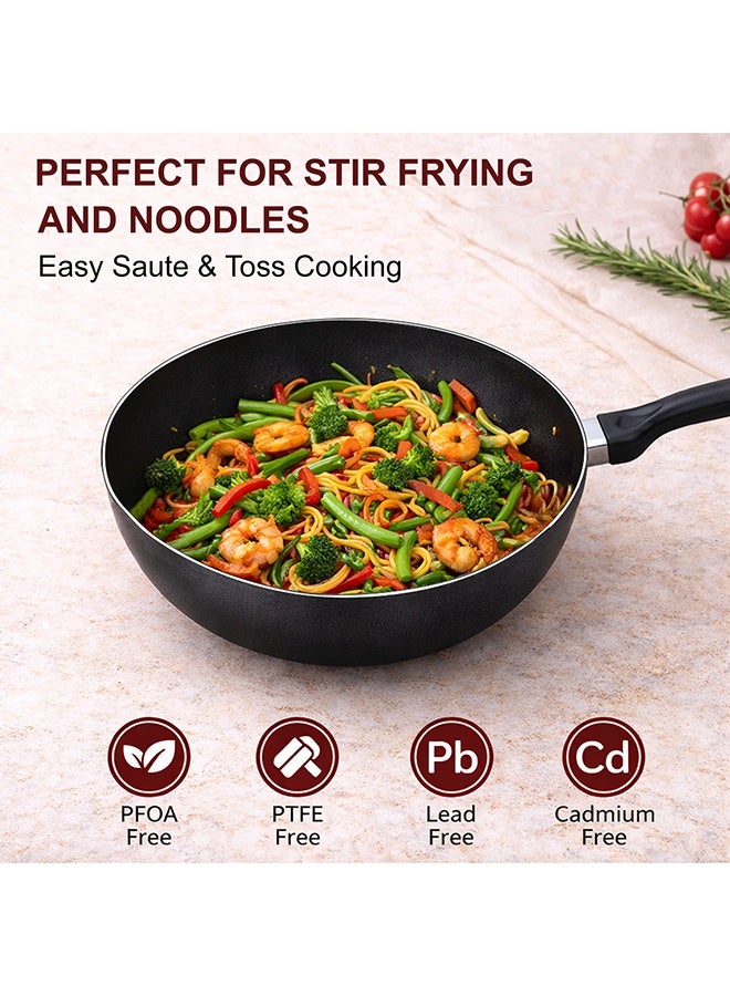 سونكس مقلاة سونيكس الملكية غير اللاصقة، قطر 24 سم، سعة 3 لتر، عمق 8 سم، طلاء تيفلون عالي الجودة خالٍ من مادة PFOA مع مقبض مريح مقاوم للحرارة، تجربة طهي آسيوية أصيلة، تصميم متين - Image 4