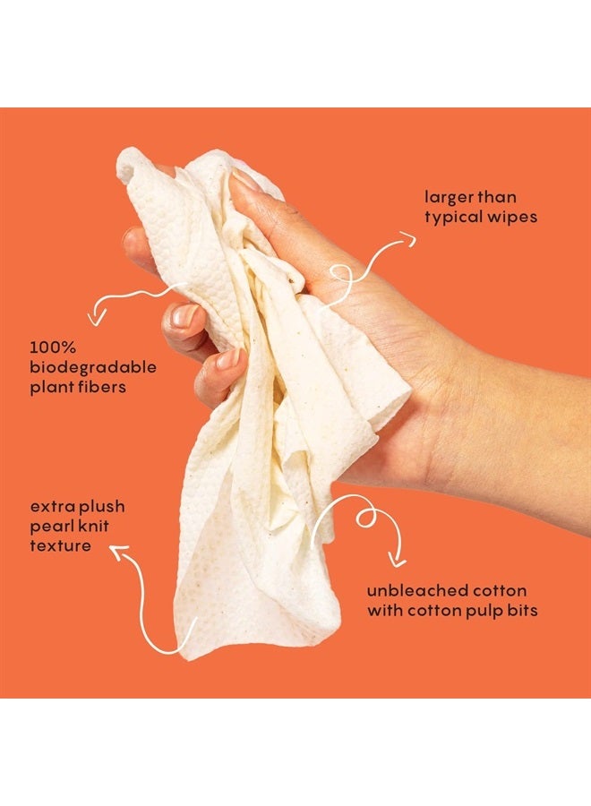 BUSYCO Refresh Line Deodorant Wipes - 15ct Deodorant Wipes for Women with Zinc, Probiotics & Prebiotics - Deodorant Wipes Individually Wrapped - Sweat Wipes to Naturally Cleanse Skin & Remove Sweat & Odor - Image 1