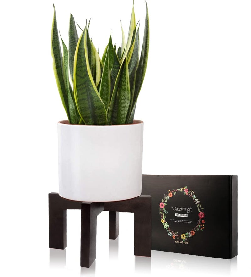 Gendral Forwepup Plant Stand Indoor Outdoor, Mid Century Plant Stand for Indoor Plants, Wood Modern Plant Holder Rattan Flower Plant stool, Low Short Boho Rustic Planter Stand, Fit 5-15 Inch Pot… - Image 2