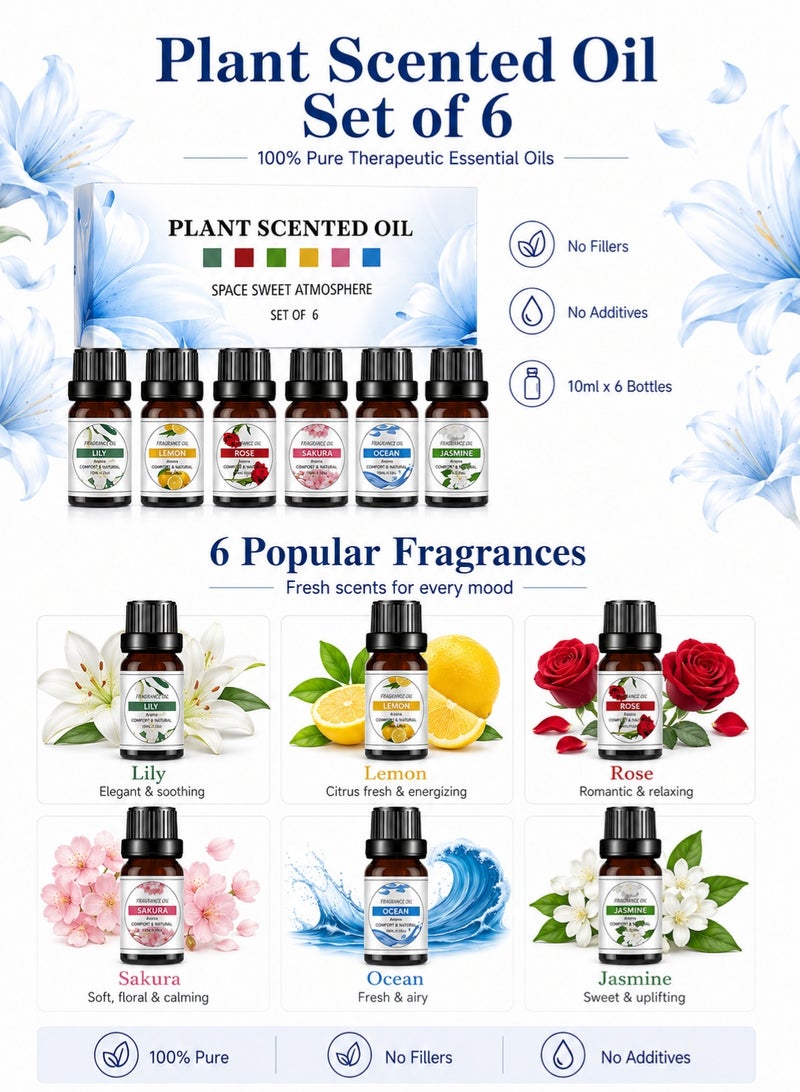 معجب مجموعة زيوت عطرية أساسية مكونة من 6 قطع، زيوت عطرية نقية 100%، مجموعة هدايا زيوت عطرية علاجية مع 6 زجاجات سعة 10 مل للاستخدام في أجهزة التبخير، والمنتجعات الصحية، والتدليك، والمنزل، والمكتب - Image 3