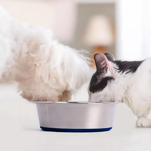 ROYALE DOG Pet Heavy Dog Bowl (Red) Export Quality with 100% Silicon Bonded Rubber Base Stainless Steel Dog Food Bowl Feeder Bowls Pet Bowl for Feeding Dogs Cats and Pets (200 ML, Blue) - Image 4