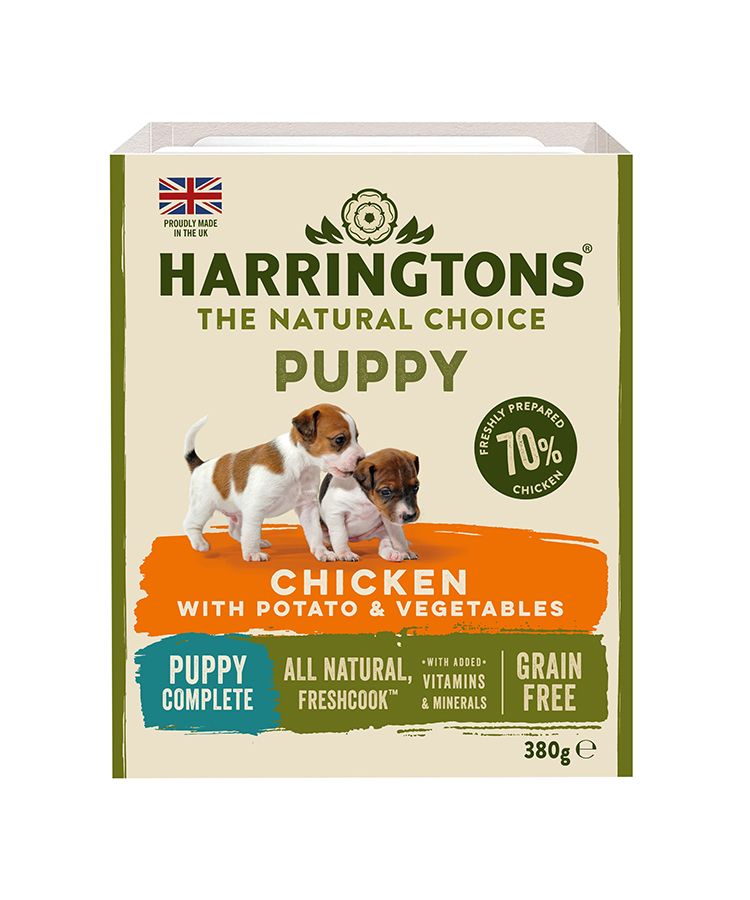 Harringtons Chicken & Potato Grain Free Wet Puppy Food 380g - Image 1