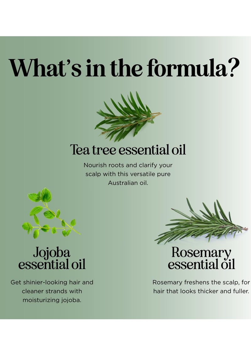 Honeydew - Invigorating Tea Tree Mint Shampoo - Rosemary Mint Shampoo for Oily Hair with Tea Tree Oil for Hair - Aromatherapy Clarifying Shampoo for Build Up Dry Scalp and Flakes with Essential Oils for Hair - Image 1