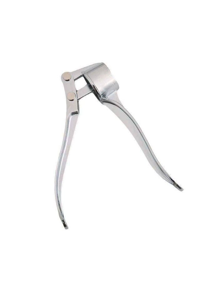 هراسه ثوم استانليس - Image 2