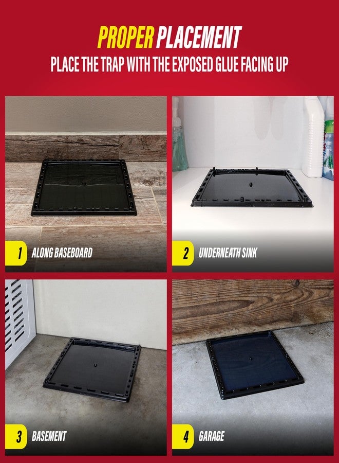 Catchmaster Jumbo Rat & Mouse Glue Traps 6Pk, Large Bulk Glue Board Rat & Mouse Traps Indoor for Home, Adhesive Plastic Tray for Snakes, Mice, & Spiders, Pet Safe Pest Control - Image 4