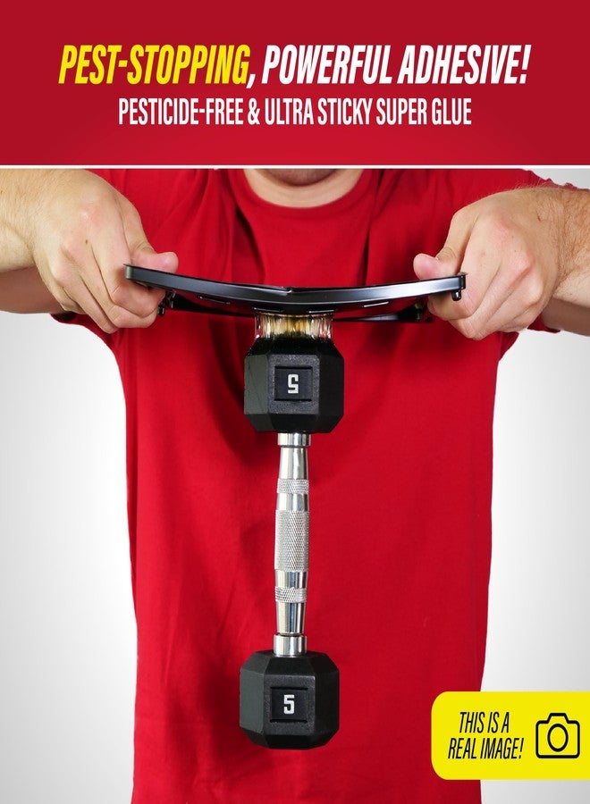 Catchmaster Jumbo Rat & Mouse Glue Traps 6Pk, Large Bulk Glue Board Rat & Mouse Traps Indoor for Home, Adhesive Plastic Tray for Snakes, Mice, & Spiders, Pet Safe Pest Control - Image 3