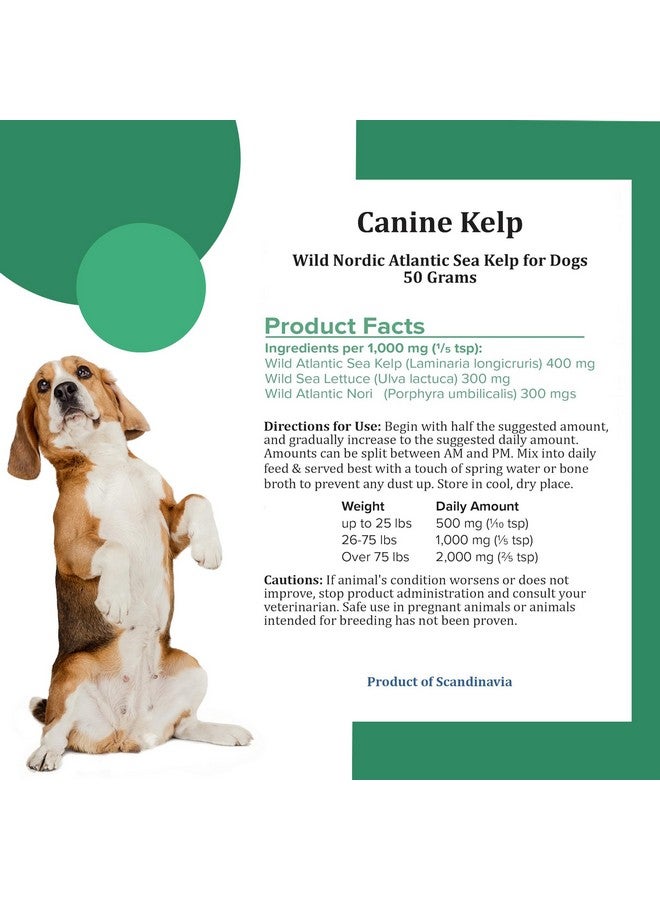 Holistic Bin Canine Atlantic Sea Kelp for Dogs | All Natural Dog Food Topper for Digestive Health, Skin and Coat Health, and Immune Support | Rich in Vitamins, Minerals, and Calcium for Dogs (50g) - Image 4