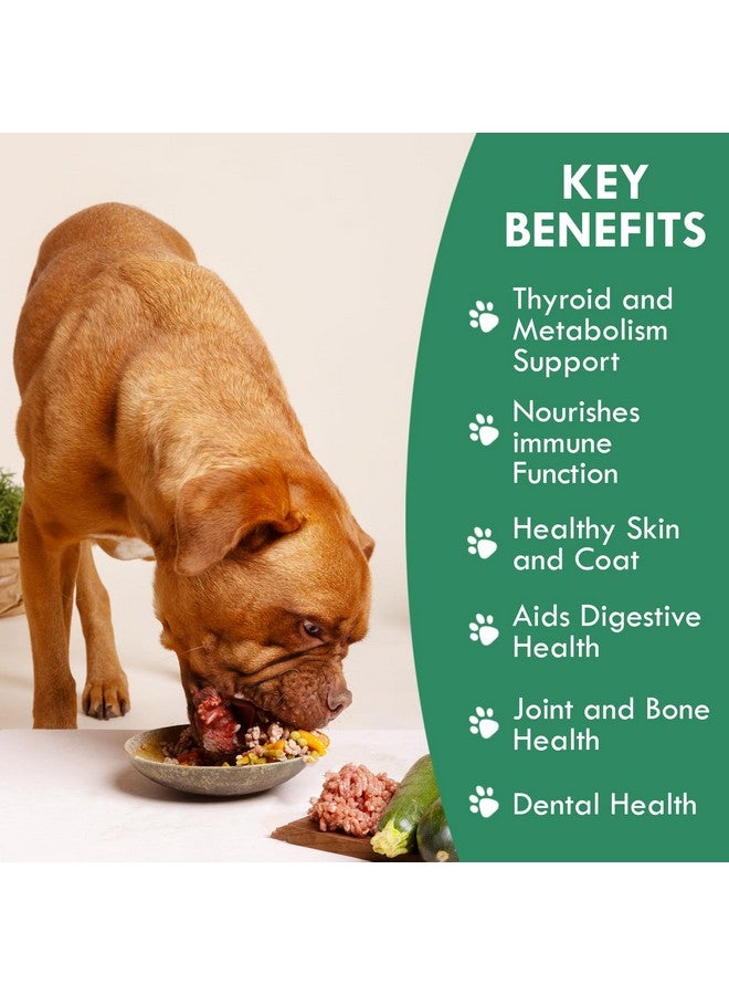 Holistic Bin Canine Atlantic Sea Kelp for Dogs | All Natural Dog Food Topper for Digestive Health, Skin and Coat Health, and Immune Support | Rich in Vitamins, Minerals, and Calcium for Dogs (50g) - Image 2