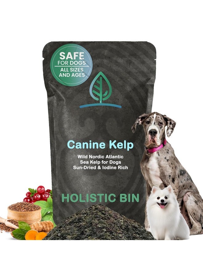 Holistic Bin Canine Atlantic Sea Kelp for Dogs | All Natural Dog Food Topper for Digestive Health, Skin and Coat Health, and Immune Support | Rich in Vitamins, Minerals, and Calcium for Dogs (50g) - Image 1
