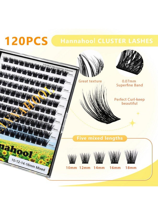 Hannahool 10Rows,Large Pack Grafting Mixed 10-12-14-16mm/14-16-18mm/12-14-16mm Wide Stem Cluster Eyelashes D Curl Individual False Eyelashes Home DIY Eye Lashes Extensions (mixed 12-14-16mm) - Image 3