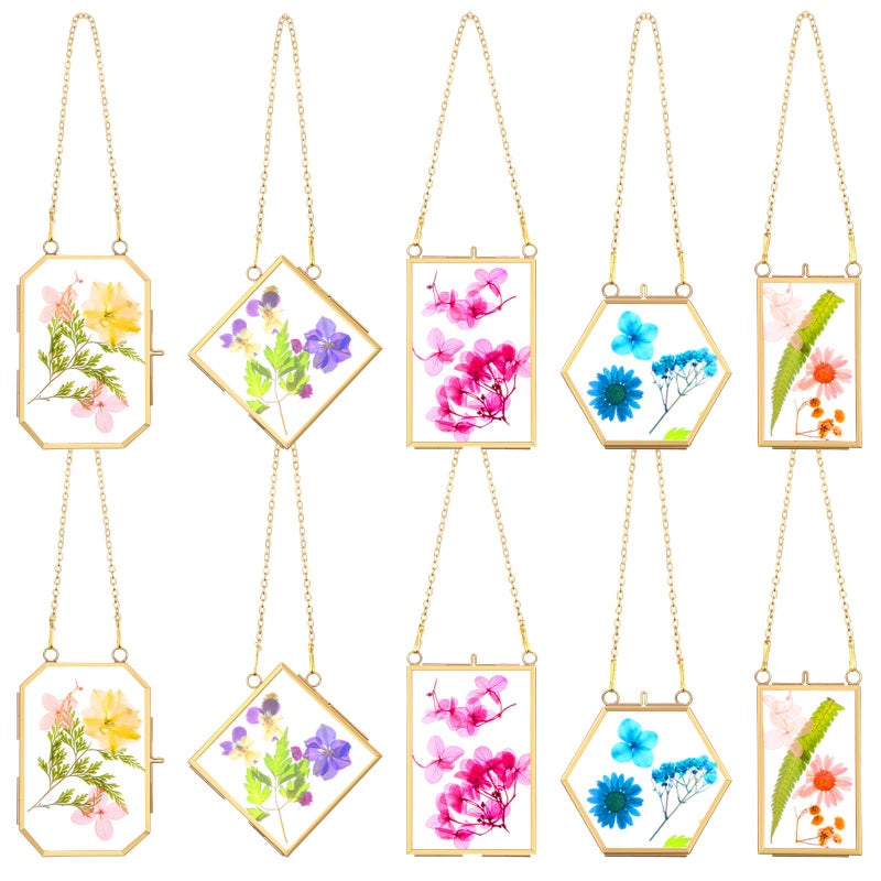 BBTO 10 Pcs Glass Frame for Pressed Flowers 5 Different Shapes Brass Hanging Picture Frame with Chain Pressed Flower Glass Photo Frames for Artwork Frame Home Wall Decor Plant Specimen Gold