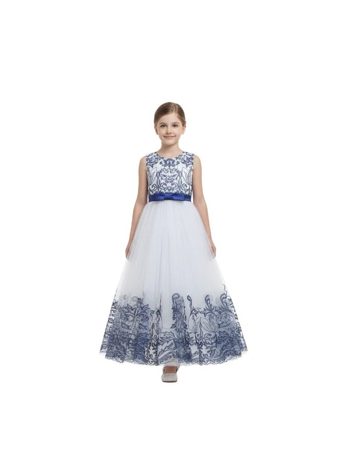 دىدانيالا فستان تول مطرز