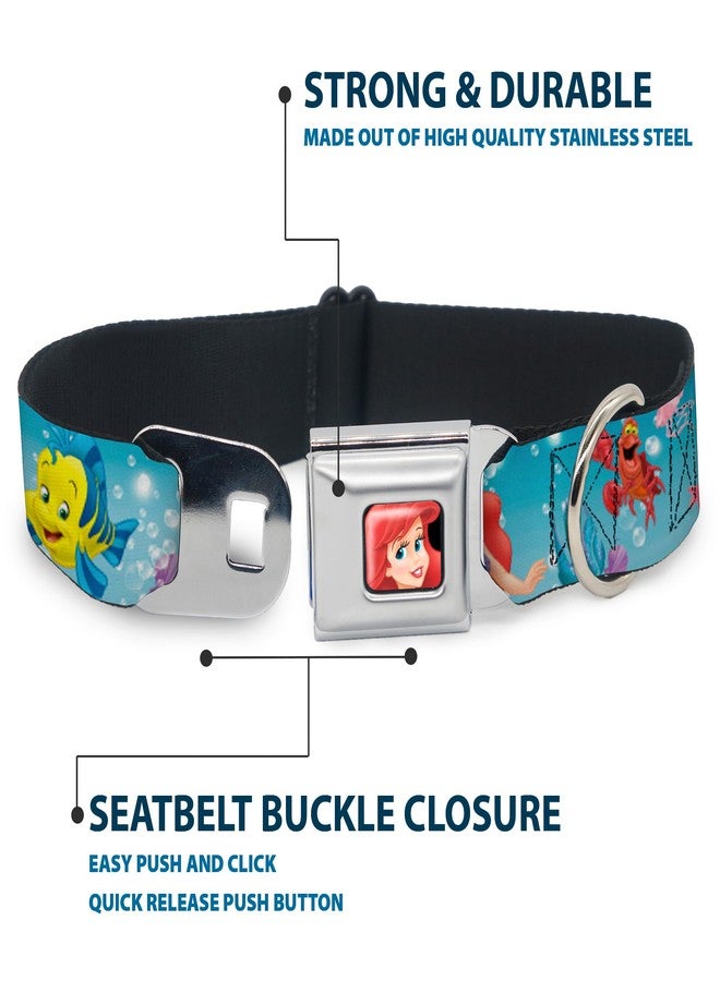 Buckle Down Buckle-Down Seatbelt Buckle Dog Collar - Ariel, Sebastian & Flounder Scene2 - 1" Wide - Fits 15-26" Neck - Large - Image 4