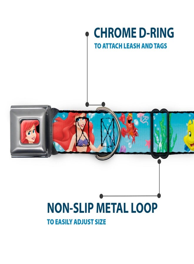 Buckle Down Buckle-Down Seatbelt Buckle Dog Collar - Ariel, Sebastian & Flounder Scene2 - 1" Wide - Fits 15-26" Neck - Large - Image 5