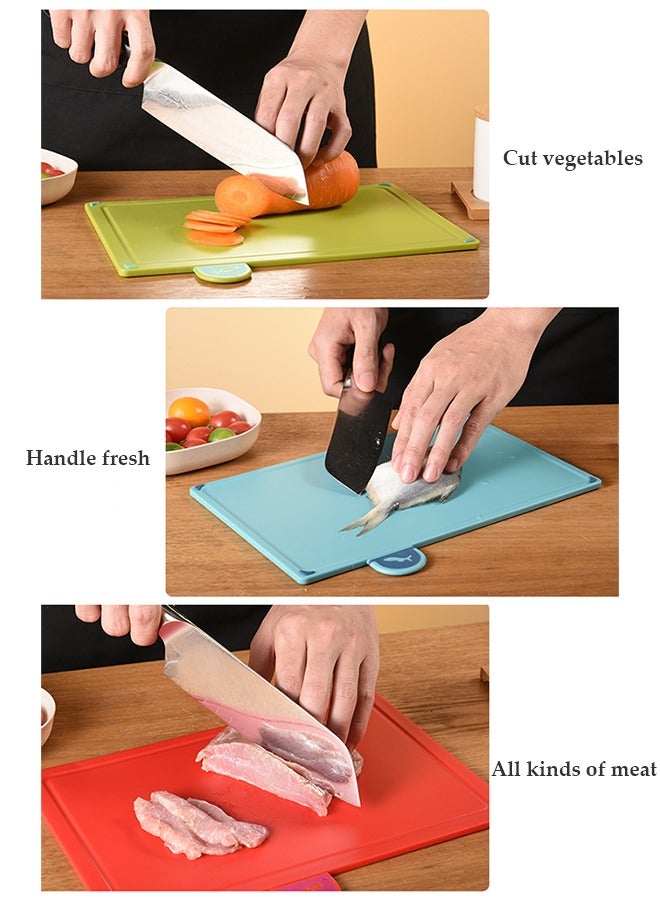 DUNISO 4PCS Kitchen Cutting Boards, plastic cutting board with storage rack, kitchen classification cutting board, double sided usable, suitable for different types of food in the kitchen - Image 3