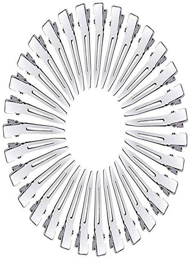 BLUSHIA Salon Hairdressing Sectioning Dividing Silver Metal Clips For Hair Styling (Small Section Clips (12 pcs) - Image 1