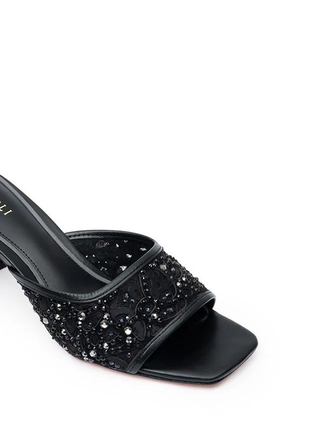 Nicoli  HARMONY for Women | Best Price UAE
