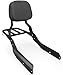 Harvards Chrome Passenger Sissy Bar Backrest with Luggage Rack Fits for Honda VTX 13001800 NRS Models 2003200620022008 NRS Gloss Black Finished - Image 2