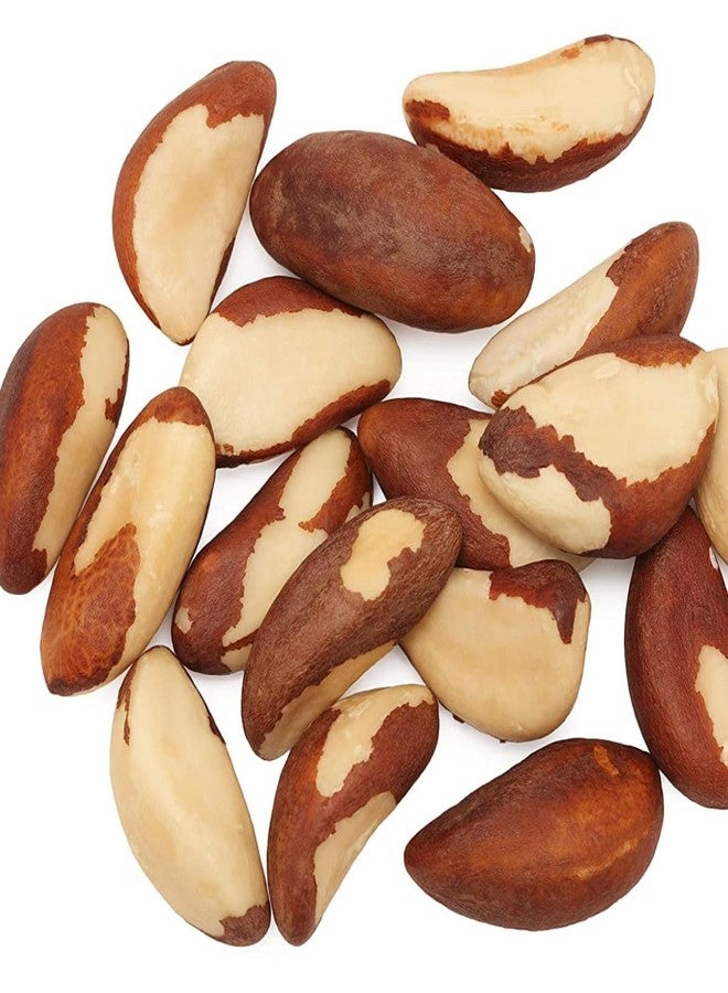 cartup Froods Brazil Nuts | Premium Crunchy Superfood | Natural, Vegan & Gluten-Free | Rich in Selenium, Protein & Healthy Fats | Amazon India - 250G - Image 4