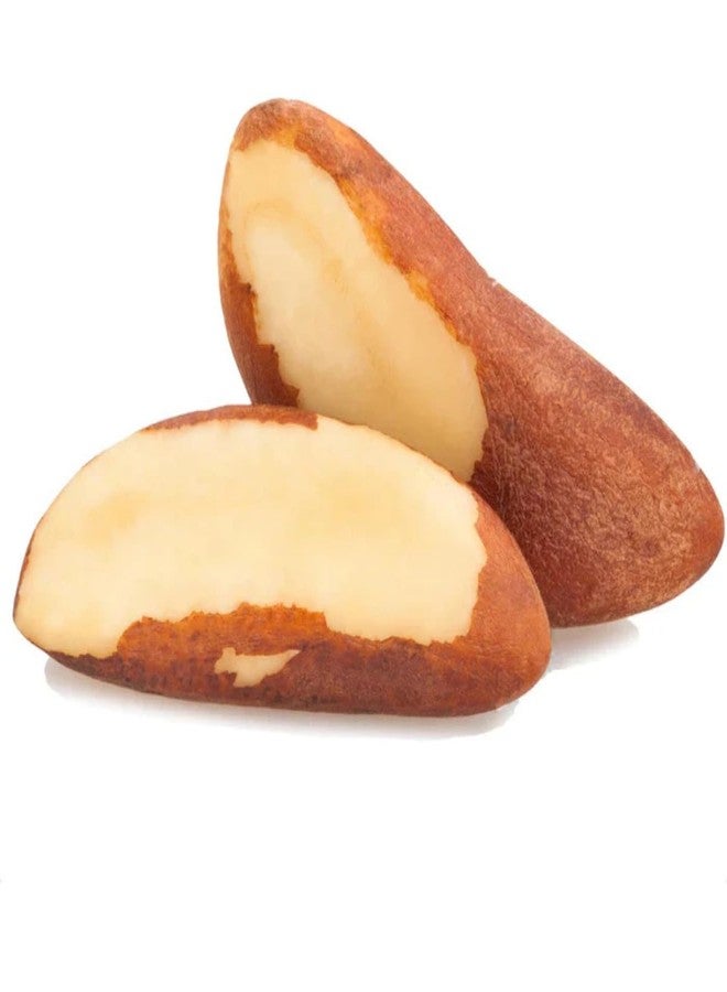 cartup Froods Brazil Nuts | Premium Crunchy Superfood | Natural, Vegan & Gluten-Free | Rich in Selenium, Protein & Healthy Fats | Amazon India - 250G - Image 3