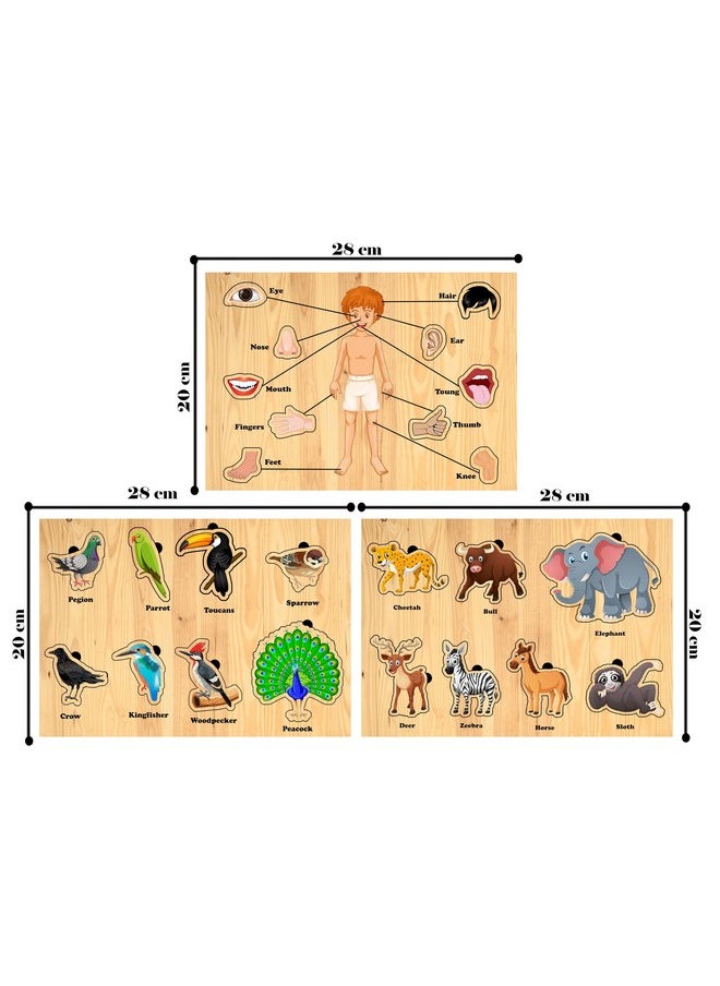 HomeCute - Homecute Wooden Puzzle Educational Toy for Kids,Montessori Wooden Puzzles for Children,Learning Puzzle for Toddlers & Preschoolers,Toys for Boys and Girls (Pack of 3-Human Body Part,Birds & Animals) - Image 1