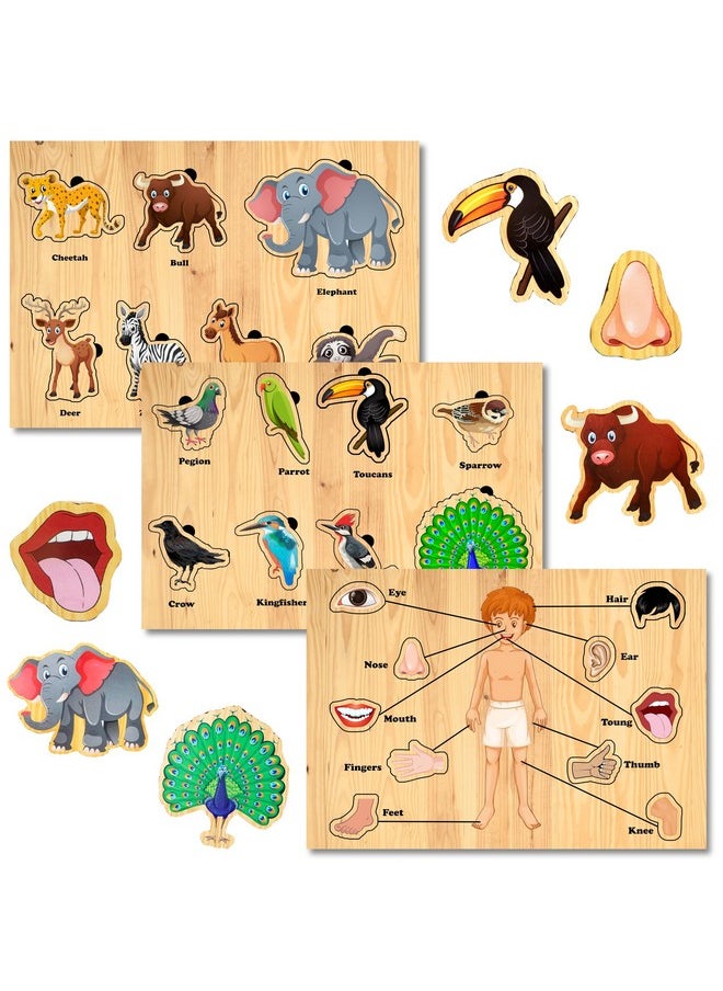 HomeCute - Homecute Wooden Puzzle Educational Toy for Kids,Montessori Wooden Puzzles for Children,Learning Puzzle for Toddlers & Preschoolers,Toys for Boys and Girls (Pack of 3-Human Body Part,Birds & Animals) - Image 1