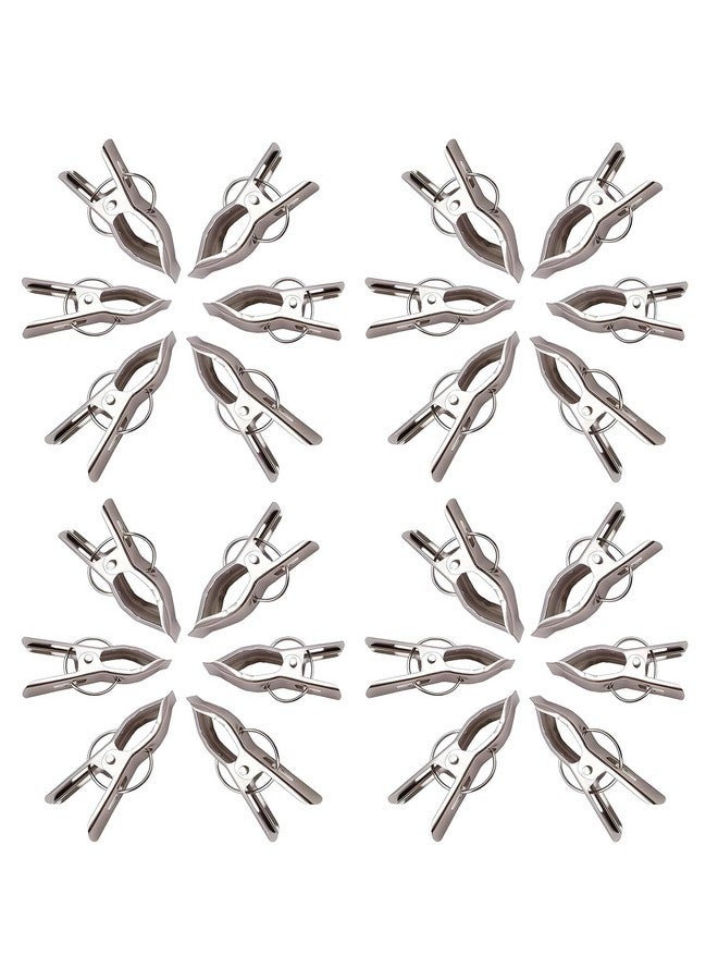 Kuber Industries Clothes Pegs Set Of 24|Cloth Drying Clips For Rope|Strong Grip & Solid Ring|Idol For Stand, Pipe (Silver) - Image 1