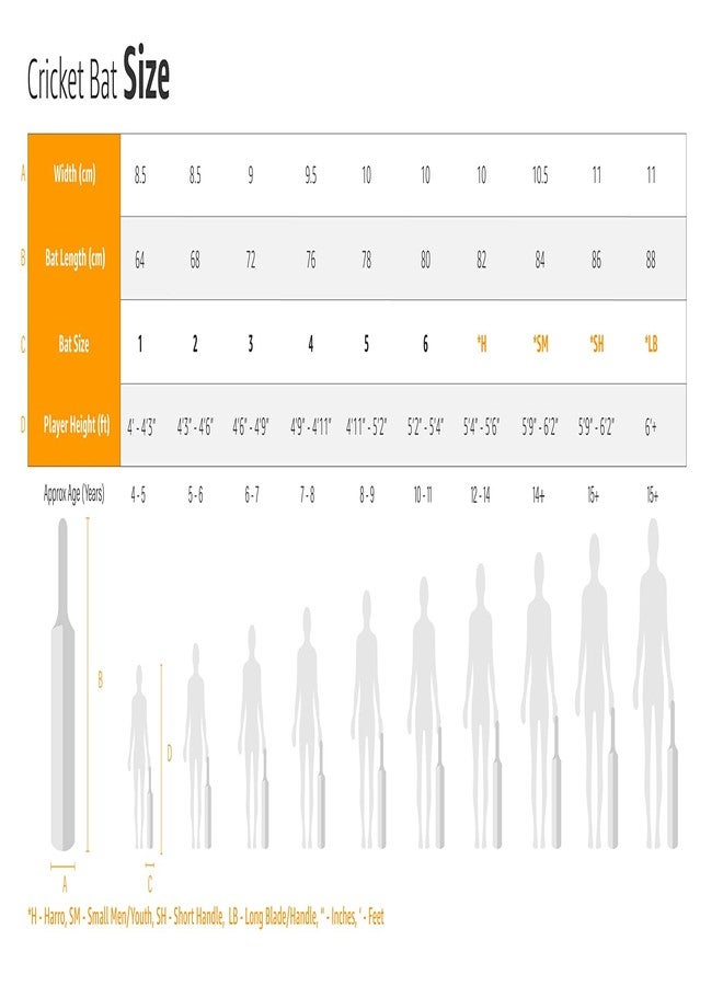 SS master 100 kw bat Kashmir Willow Cricket Bat ( Size: Short Handle,Leather Ball ) - Image 4