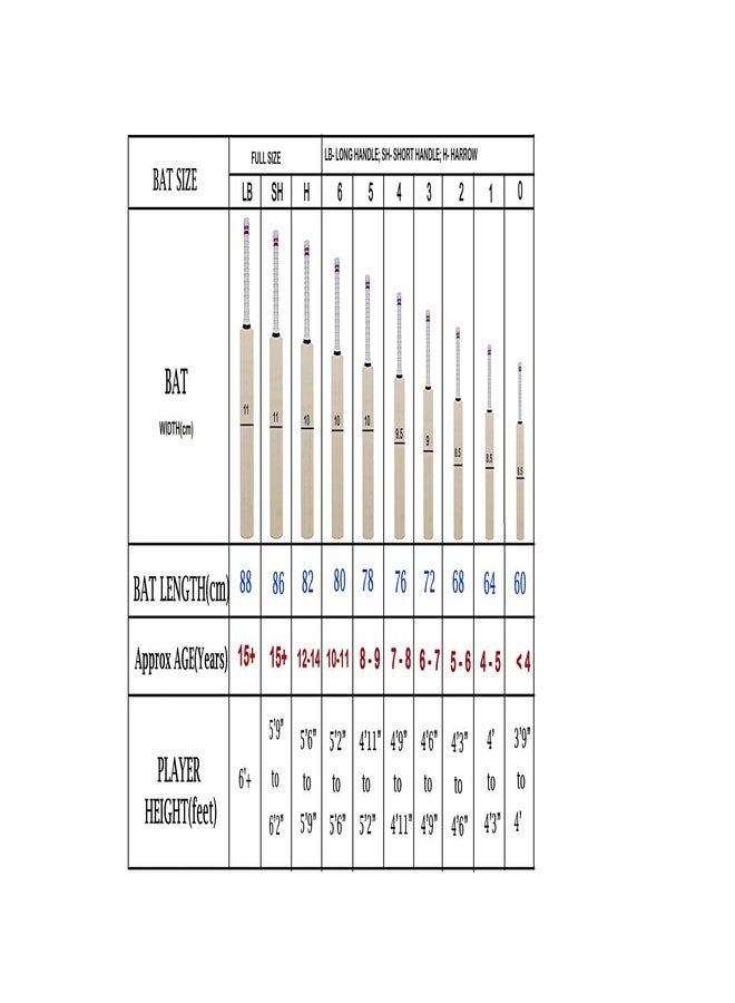 SS master 100 kw bat Kashmir Willow Cricket Bat ( Size: Short Handle,Leather Ball ) - Image 3