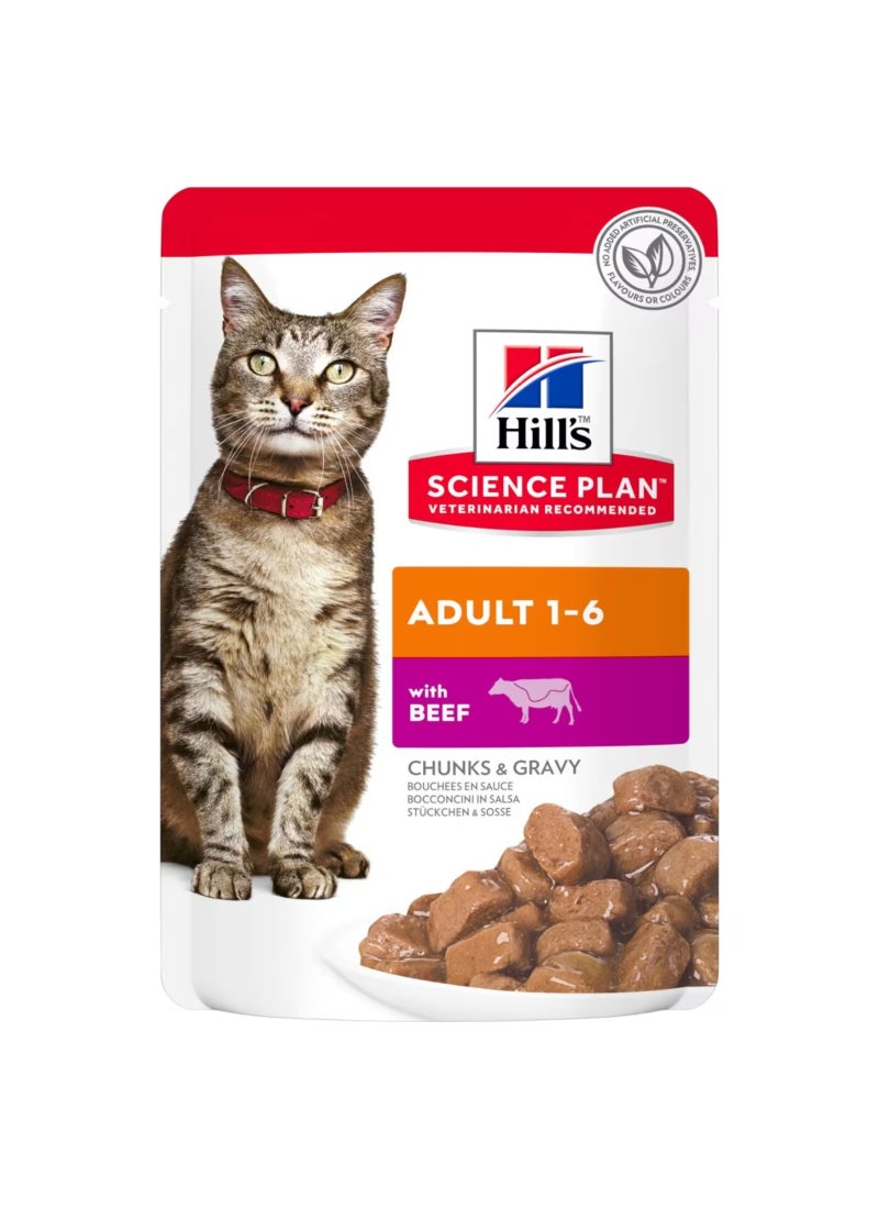 Hill's Science Plan Adult Wet Cat Food Beef Pouches - Image 2